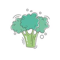 gesunde Ernährung Ernährung Bio Bio Gemüse frischer Brokkoli