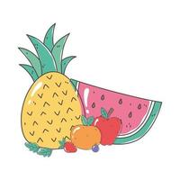 Ananas Wassermelone Orange Früchte Bio gesunde Lebensmittel natürlich vektor