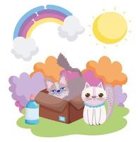 Katze und andere in der Box Sonne Landschaft Haustiere vektor