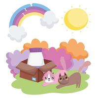 Katzen mit Futter in Box Gras Sonne Haustiere vektor