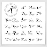 Hand gezeichnetes Alphabet mit Pinsel Stift geschrieben. vektor