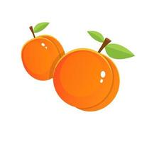 färsk aprikosvektordesignillustration isolerad på vit bakgrund vektor