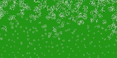 hellgrünes Vektormuster mit farbigen Schneeflocken. vektor