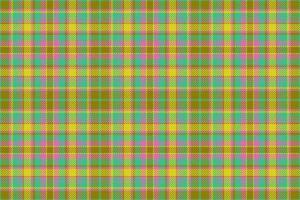 kolla upp bakgrund sömlös. mönster vektor textur. textil- pläd tyg tartan.