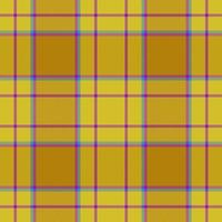 Tartan-Plaid-Textil. Stoff mit Hintergrundmuster. nahtlose Vektormusterbeschaffenheit. vektor