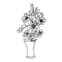 hus växter i kastruller i vaser med blommor. klotter style.botanical illustration. vektor