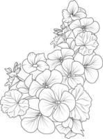 vektor illustration av en skön geranium blommor bukett, ritad för hand färg bok av konstnärlig, blomma blommor geranium isolerat på vit bakgrund, skiss konst blad gren botaniska samling .