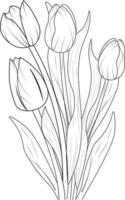 tulpe blume malbuch handgezeichnete botanische frühlingselemente blumenstrauß aus klee rosa blume linie kunst malseite vektor skizze künstlerisch, vintage design elemente.