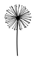 Löwenzahn Blume Silhouette schwarz Symbol Vektor Illustration