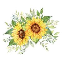 Aquarell-Sonnenblumenstrauß, handbemalte Sonnenblumensträuße mit Grün, Sonnenblumen-Blumenarrangement. hochzeitseinladungs-clipart-elemente. aquarell blumen. Botanische Zeichnung. weißer Hintergrund. vektor