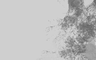 abstrakter Grunge-Textur grauer Farbhintergrund vektor