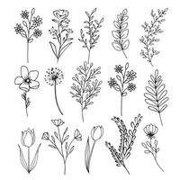 vektor uppsättning för teckning vild växter, örter och blommor, svartvit botanisk illustration i årgång stil, isolerat blommig element, hand dragen illustration vektor växter blommor skiss