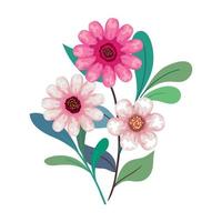rosa blommor ritning med blad vektor design