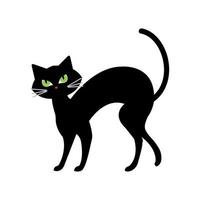 halloween, süße schwarze katze im weißen hintergrund vektor