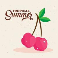 tropischer sommer, kirschen, frische früchte vektor