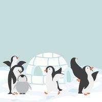 Pinguine mit Iglu-Eishaus vektor