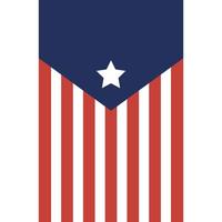 USA-banner med linjer och stjärnvektordesign vektor