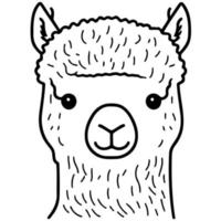 kamelid djur- huvud kallad alpacka vektor