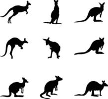 en vektor samling av kängurur för konstverk kompositioner