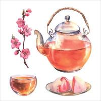 aquarell asiatisches teeset mit transporanter teekanne, tasse tee, japan daifuku und sakura-zweigisolat auf weißem hintergrund. Speisekarten-Design. vektor