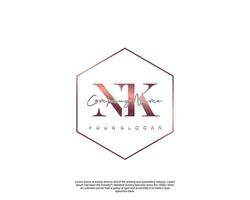 Anfangsbuchstabe nk feminines Logo Schönheitsmonogramm und elegantes Logo-Design, Handschrift-Logo der Erstunterschrift, Hochzeit, Mode, Blumen und Pflanzen mit kreativer Vorlage vektor