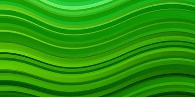 hellgrünes Vektormuster mit Linien. vektor