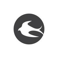 Schwalbe-Logo-Icon-Design-Vektor-Bild vektor