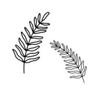 gekritzelblatt von palmikonen lokalisiert auf weiß. Schablonenblätter. Vektor-Umriss-Illustration vektor