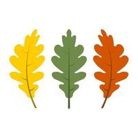 Eichenblatt in Herbstfarben auf weißem Hintergrund Vektorillustrationen isoliert vektor