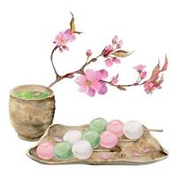 vattenfärg hand dragen traditionell japansk sötsaker. vår dango, sakura körsbär blomma, matcha te isolerat på vit bakgrund. design för inbjudningar, restaurang meny, hälsning kort, skriva ut, textil- vektor