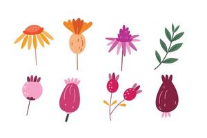 uppsättning av vild blomma i hand dragen illustration för romantisk design element vektor