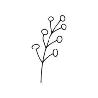Zweig mit Beeren-Doodle-Vektor. Schwarz und weiß vektor