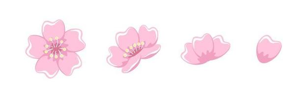 en uppsättning av körsbär blomma blomning illustrationer vektor