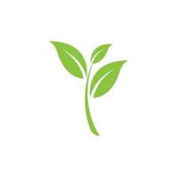 Grüne Pflanzenvektoren kostenloser Download vektor