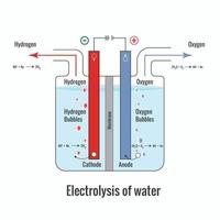 elektrolyse von wasser, das wasserstoff- und sauerstoffvektorillustration bildet vektor