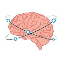 menschliches Gehirn mit Pluszeichen vektor
