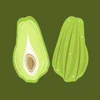 chayote vektor illustration för grafisk design och dekorativ element