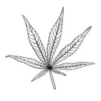 Einfachheit Cannabisblatt Freihand zeichnen flaches Design. vektor