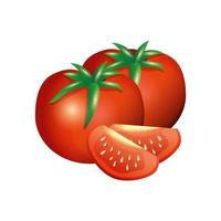 isoliertes Tomatengemüsevektorentwurf vektor