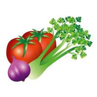 selleri vitlök och tomat grönsak vektor design