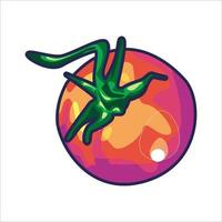 Tomaten Melone Vektorgrafiken vektor