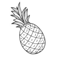 skizzieren Sie das Schwarz-Weiß-Bild einer Ananas im Doodle-Stil vektor