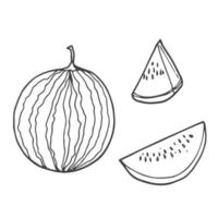 frische saftige slises, teile von wassermelonenfrüchten im handgezeichneten gekritzelstil. satz vektorillustrationen lokalisiert auf weißem hintergrund. vektor