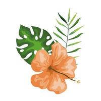 hibiskus med gren och blad, tropisk natur, vårsommar botanisk vektor