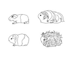 meerschweinchenrassen im linienstil. Haustier-Nagetier-Sammlung und Symbole. isolierte Vektorschwarzlinie, Baldwin, Silkie, amerikanischer Teddy, Lunkaria vektor