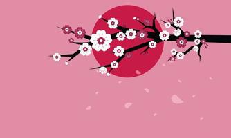 schöner Kirschblüten-Vektorhintergrund vektor
