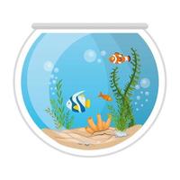 akvariefiskar med vatten, tång, korall, akvarium marina husdjur vektor