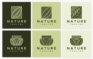 linje blad logotyp design samling. modern natur logotyp grafisk vektor. vektor