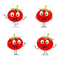 Tomaten-Charakter-Design. Tomaten-Vektor. Cartoon-Maskottchen Tomate lächelnd. Tomate auf weißem Hintergrund. vektor