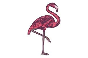 flamingo vektor illustration